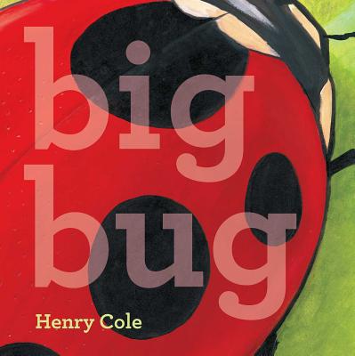 Big Bug BIG BUG [ Henry Cole ]