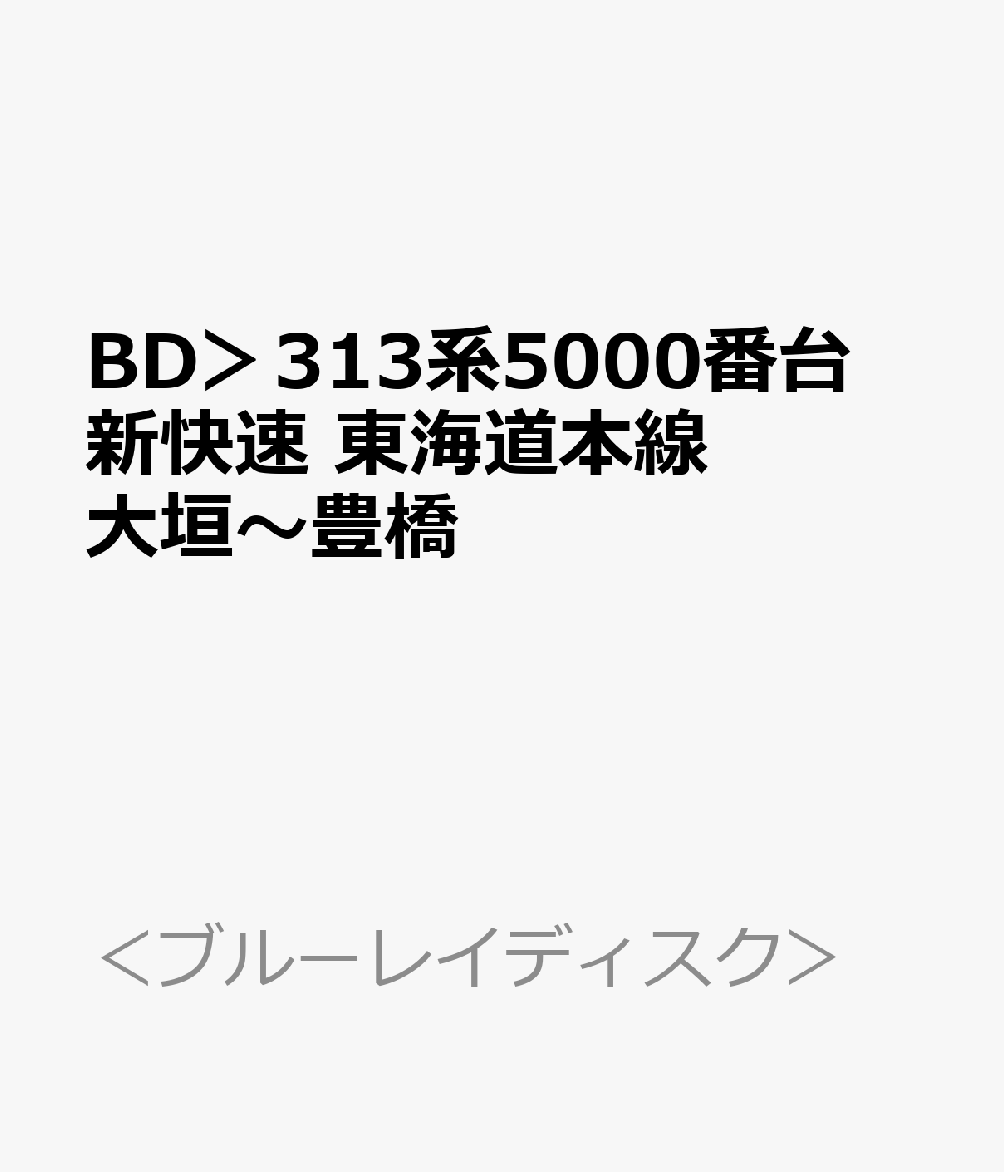 BD＞313系5000番台 新快速 東海道本線 大垣〜豊橋