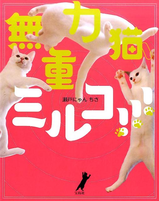 無重力猫、ミルコ！！！