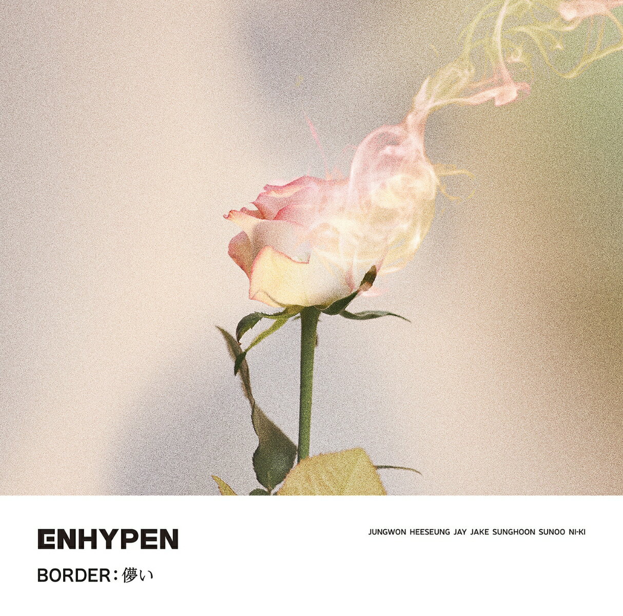 BORDER : 儚い (通常盤(初回プレス)) [ ENHYPEN ]のサムネイル
