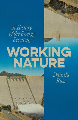 Working Nature: A History of the Energy Economy WORKING NATURE 