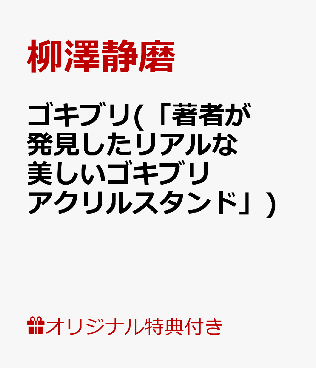 あの嫌われものが図鑑に!?　ゴキブリ(「著者が発見したリアルな美しいゴキブリ　アクリルスタンド」)[ 柳澤静磨 ]　