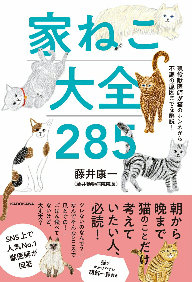 現役獣医師が猫のホンネから不調の原因までを解説 家ねこ大全 285 [ 藤井 康一 ]