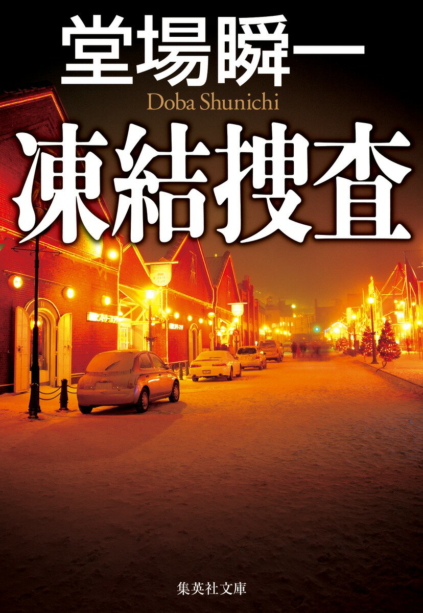 北海道大沼で雪の中から、平田の射殺体が発見された。函館中央署の保井凛は、平田に暴行されたと被害届が出ていたことを思い出す。早速、被害者の珠希を訪ねると、姿を晦ましていた。進展なく迎えた初夏、東京で女の射殺体が発見される。凛は、警視庁の神谷と捜査を進めていくが…。連続殺人の狙いは金か怨恨か？巧妙に計画された重大犯罪に熱き刑事魂の捜査チームが挑む。待望の「検証捜査」兄弟編。