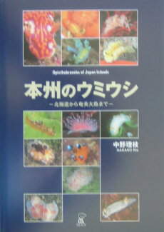 本州のウミウシ 北海道から奄美大島までの表紙
