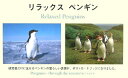 楽天楽天ブックスリラックス　ペンギン