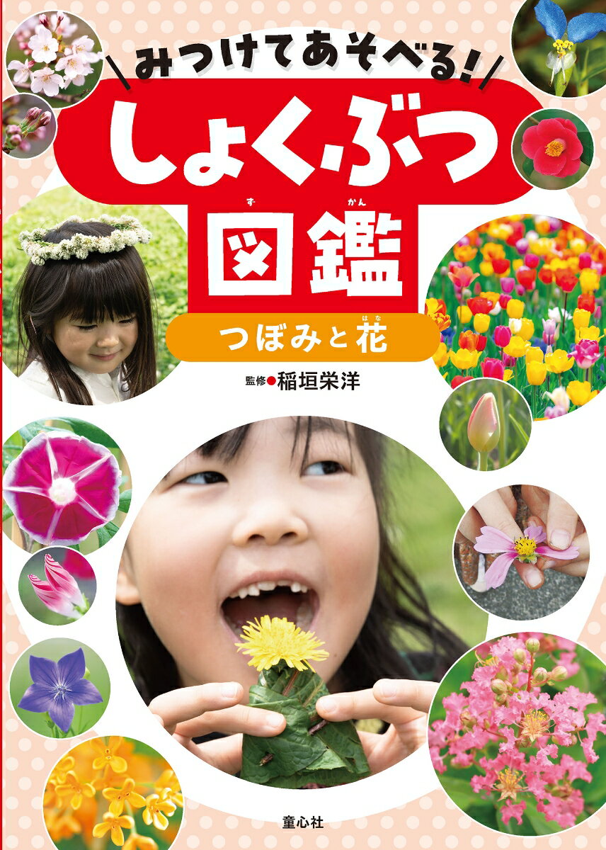 みつけてあそべる！しょくぶつ図鑑 つぼみと花