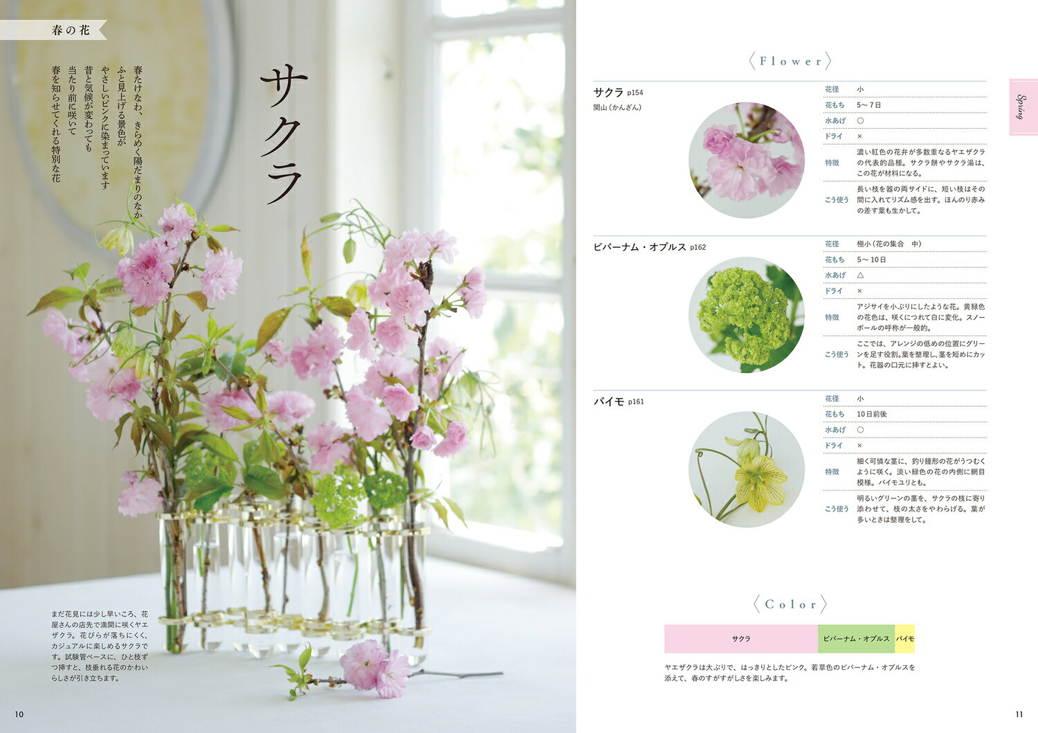 アレンジ上手になる花図鑑 いま、人気の花503種 [ 濱口　貴弘 ] 3