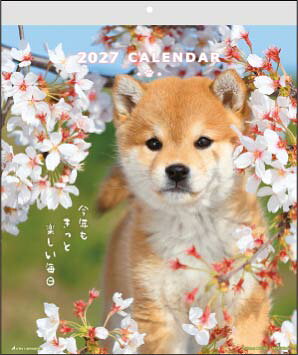 ○アクティブコーポレーション犬 イヌ DOGウォールカレンダー 発行年月：2026年08月 予約締切日：2026年07月07日 ISBN：4990012509010 本 カレンダー・手帳・家計簿 カレンダー 動物・自然