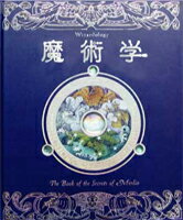 魔術学 魔術師マーリンの秘密 [ ドゥガルド・A．スティール ]