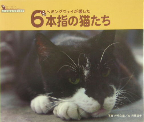 ヘミングウェイが愛した6本指の猫たち