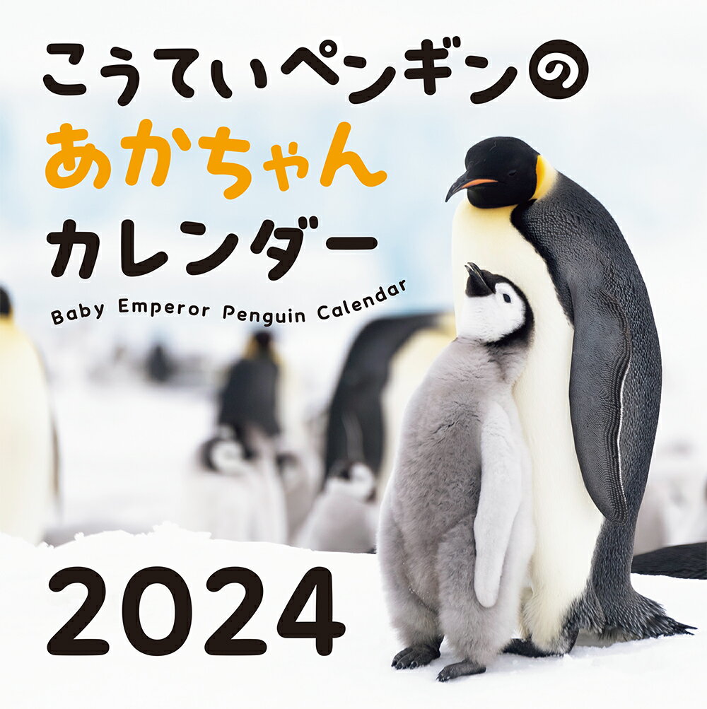 こうていペンギンのあかちゃんカレンダー（2024）