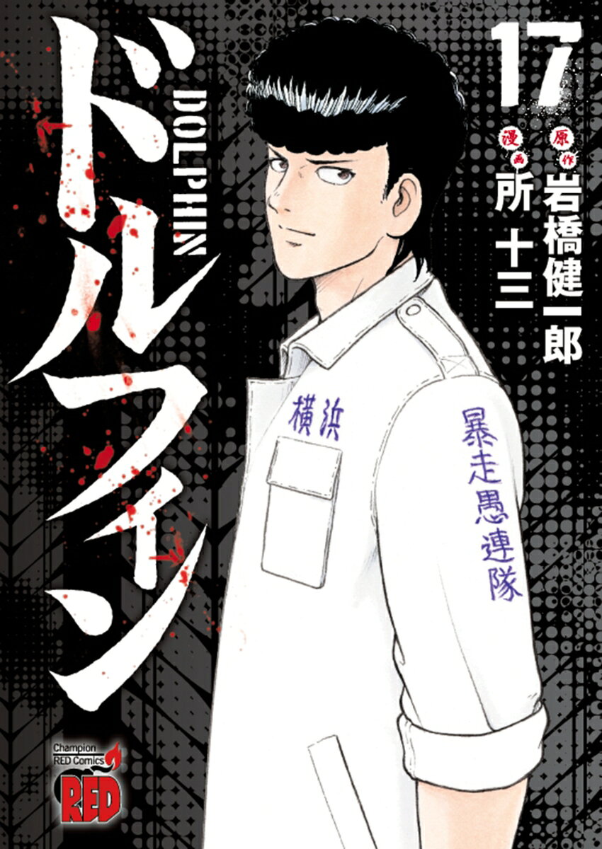 ドルフィン　17