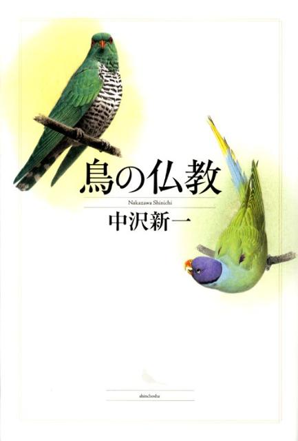 鳥の仏教
