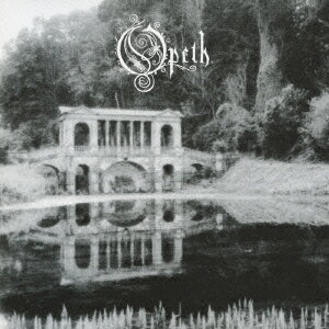 モーニングライズ