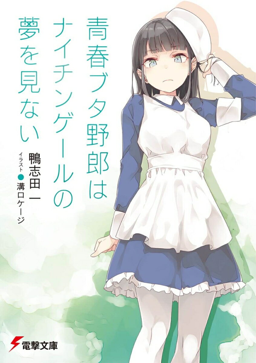 青春ブタ野郎はナイチンゲールの夢を見ない　　著：鴨志田一