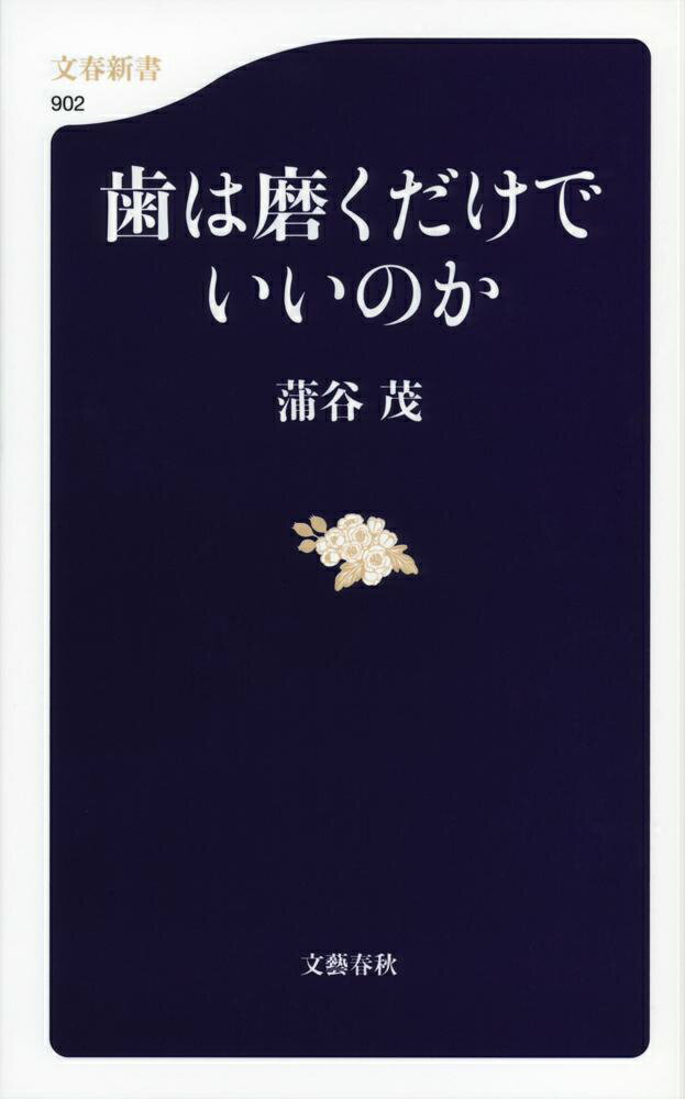 歯は磨くだけでいいのか
