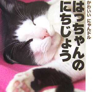 はっちゃんのにちじょう