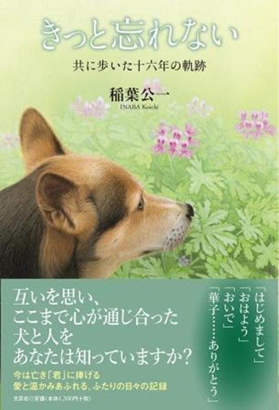 きっと忘れない 共に歩いた十六年の軌跡 [ 稲葉公一 ]