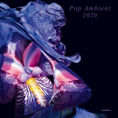 【輸入盤】Pop Ambient 2020