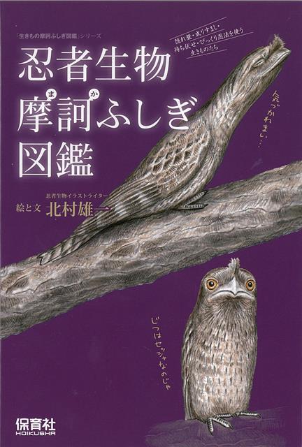 【バーゲン本】忍者生物摩訶ふしぎ図鑑ー生きもの摩訶ふしぎ図鑑シリーズ