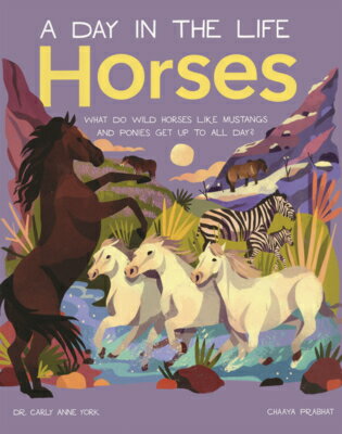 Horses: What Do Wild Horses Like Mustangs and Ponies Get Up to All Day?