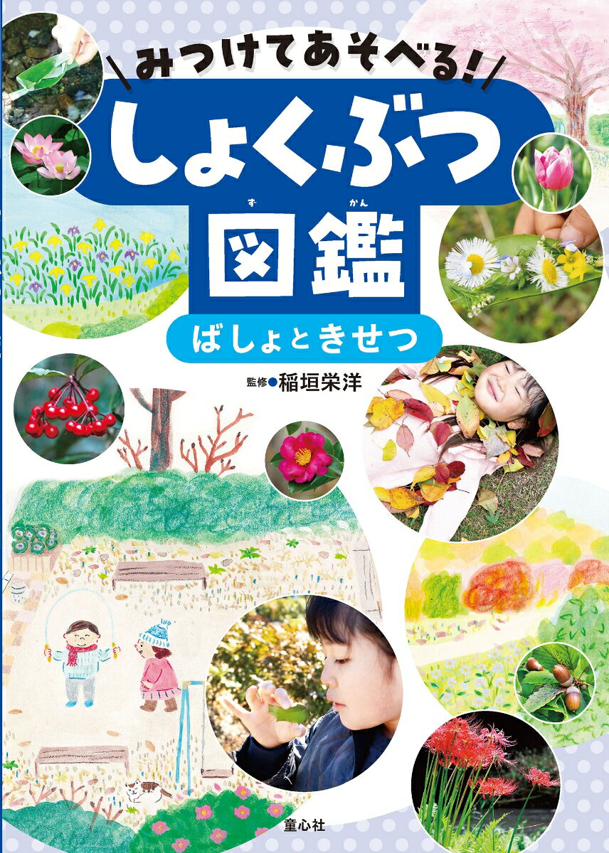 みつけてあそべる！しょくぶつ図鑑 ばしょときせつ