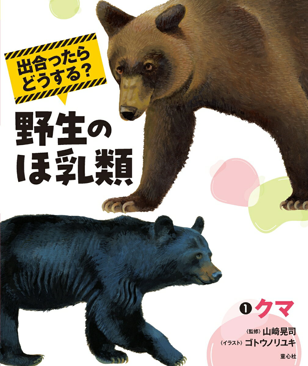 出合ったらどうする？　野生のほ乳類　1クマ