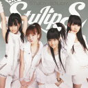 TVアニメ『ハイスクールD×D』EDテーマ::STUDY×STUDY [ StylipS ]