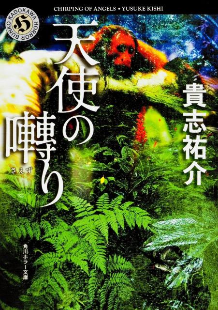 夜更かし必至！緊迫ホラーサスペンス小説15選「天使の囀り」「夜行」など人気作をご紹介の表紙