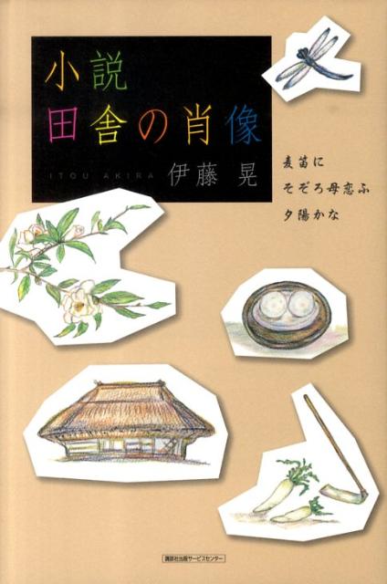 小説・田舎の肖像