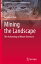 Mining the Landscape: The Archaeology of Mount Shamrock MINING THE LANDSCAPE 2022/E Contributions to Global Historical Archaeology [ Geraldine Mate ]