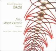 【輸入盤】Motets Bwv.225-230, Anh159: Kooij / Sette Voce