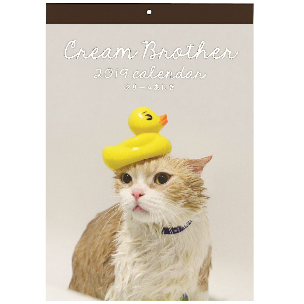 2019年 カレンダー 壁掛け クリームあにき カレンダー