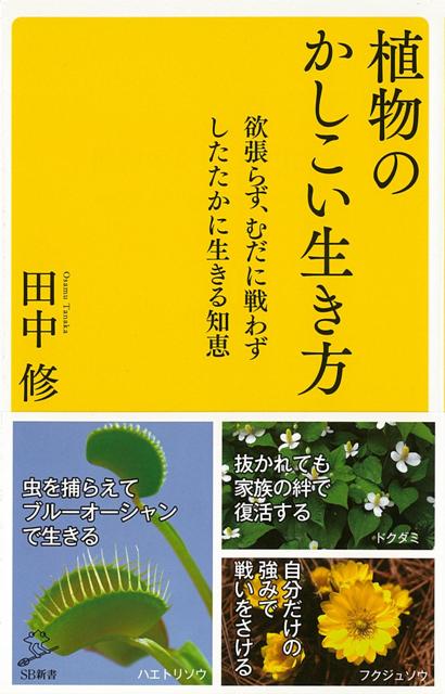 【バーゲン本】植物のかしこい生き方ーSB新書
