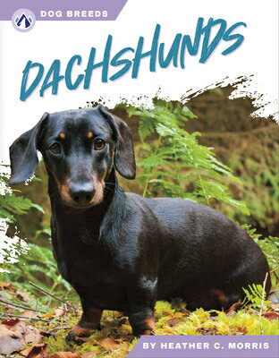 Dachshunds DACHSHUNDS 