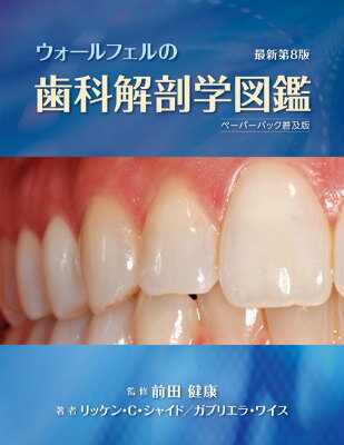 ウォールフェルの歯科解剖学図鑑最新第8版　ペー