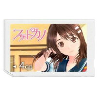 フォトカノ “メモリースティック PRO デュオ”（Mark2) 4GBの画像