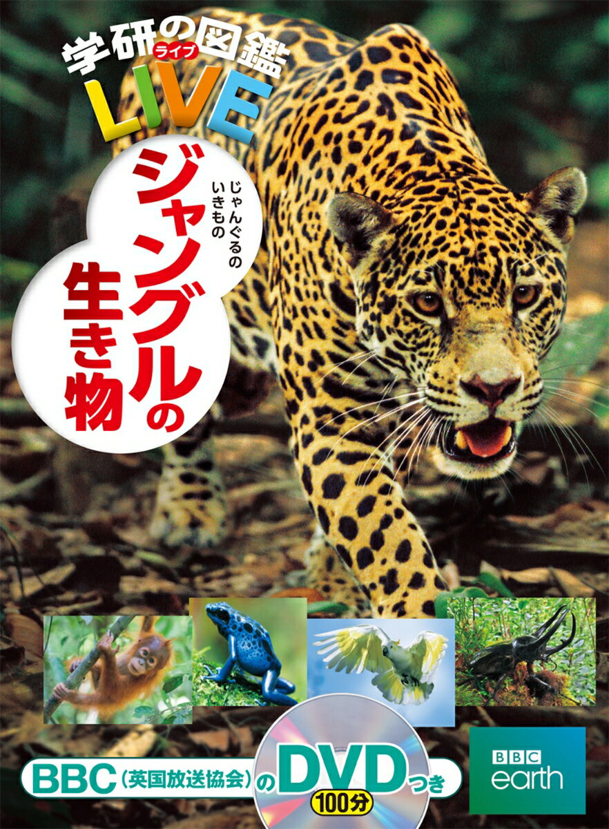 ジャングルの生き物