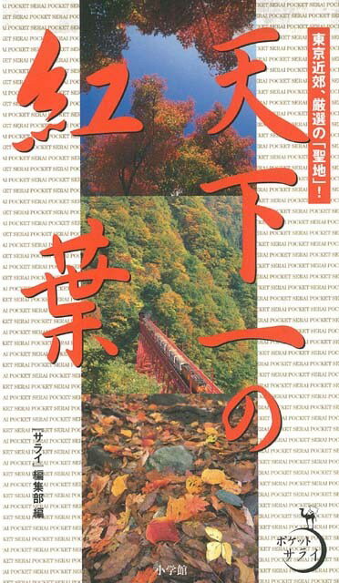 【バーゲン本】天下一の紅葉ーポケットサライ