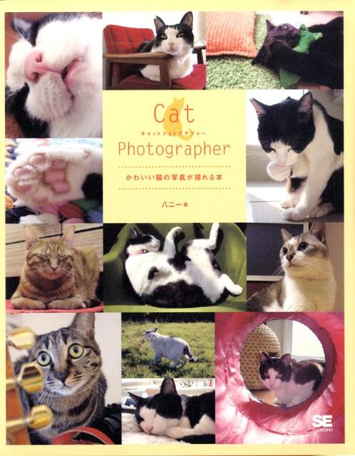 Cat　photographer かわいい猫の写真が撮れる本 [ 八二一 ]