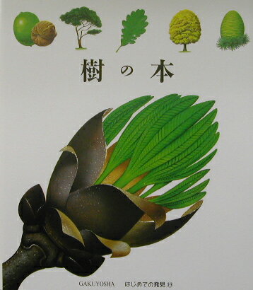 樹の本