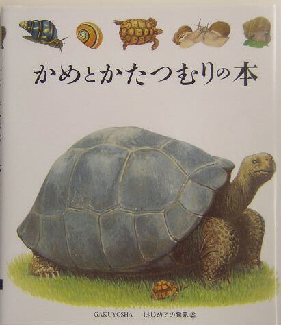 かめとかたつむりの本