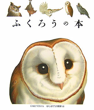 ふくろうの本