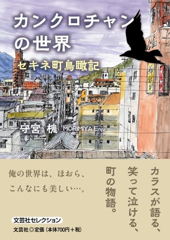 カンクロチャンの世界　セキネ町鳥瞰記
