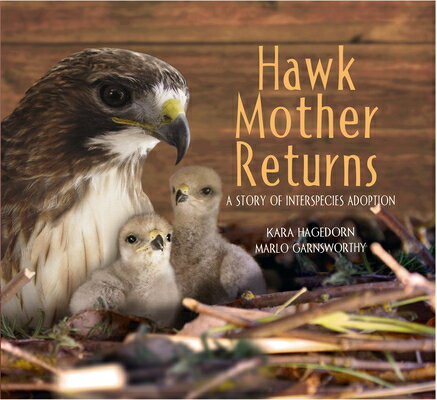 Hawk Mother Returns: A Story of Interspecies Adoption HAWK MOTHER RETURNS （Hawk Mother） [ Kara Hagedorn ]