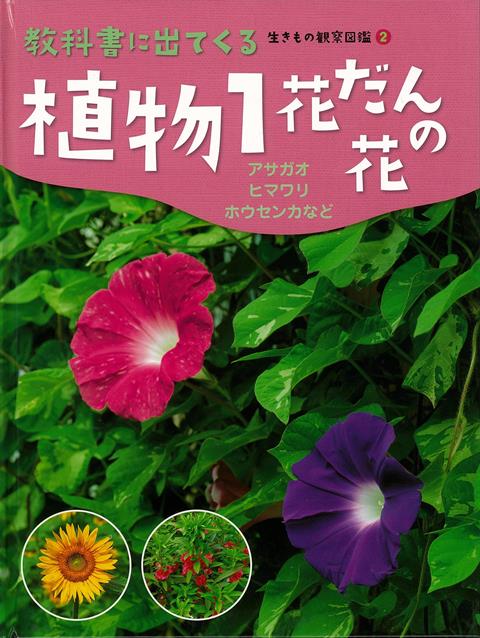 【バーゲン本】植物1　花だんの花ー教科書に出てくる生きもの観察図鑑2