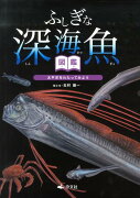 ふしぎな深海魚図鑑（太平洋をわたってみよう）