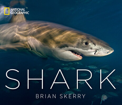Shark SHARK [ Brian Skerry ]