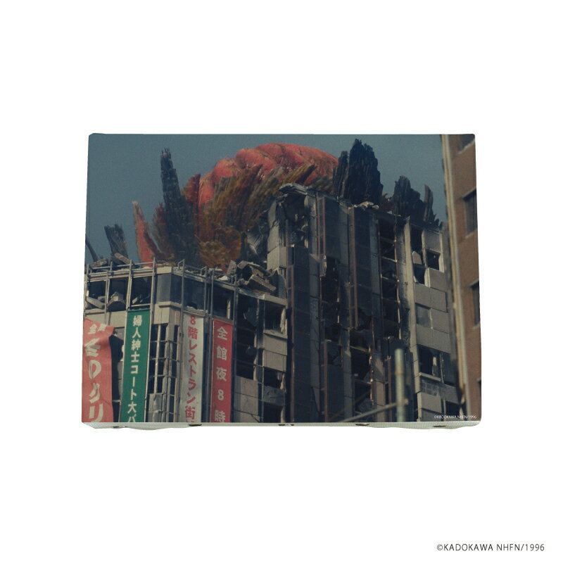 キャンバスアート「ガメラ」03/Cデザイン(実写)【グッズ】